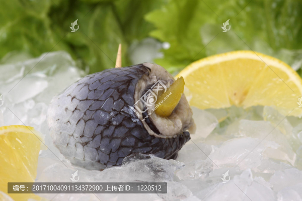 鯡魚卷