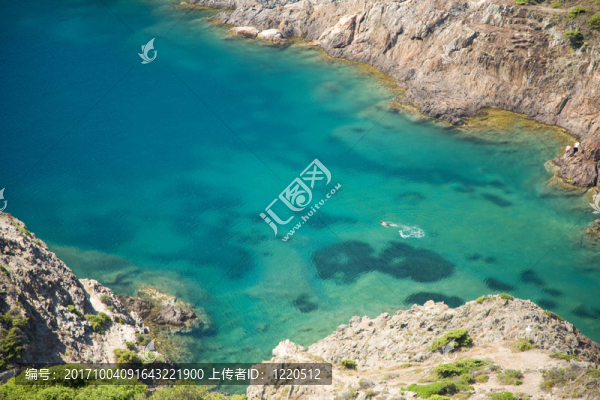 游泳運動員