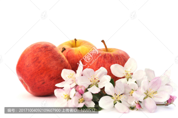 花卉