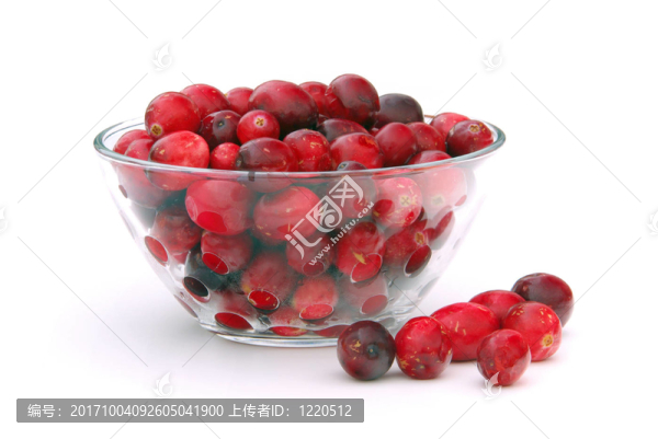 cranberry,08