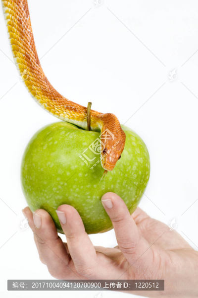 危險