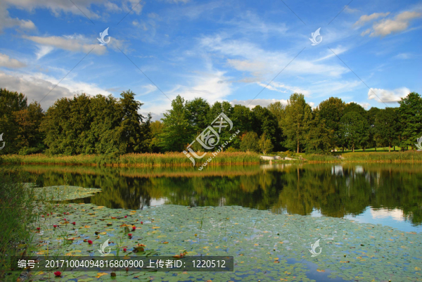 在公園里
