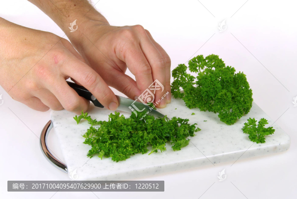 歐芹切歐芹01