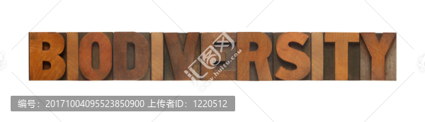 環(huán)境