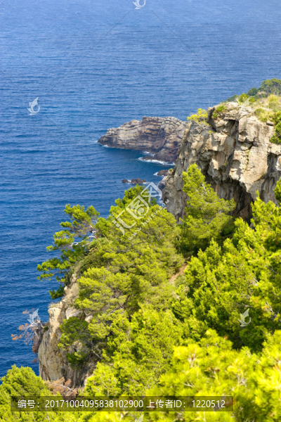 海岸