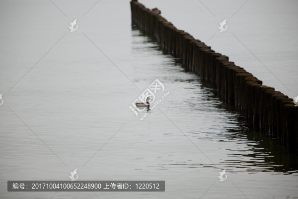 防波堤