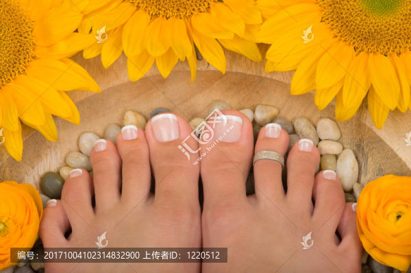 花卉