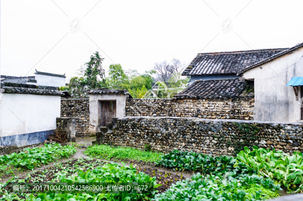 南屏菜園
