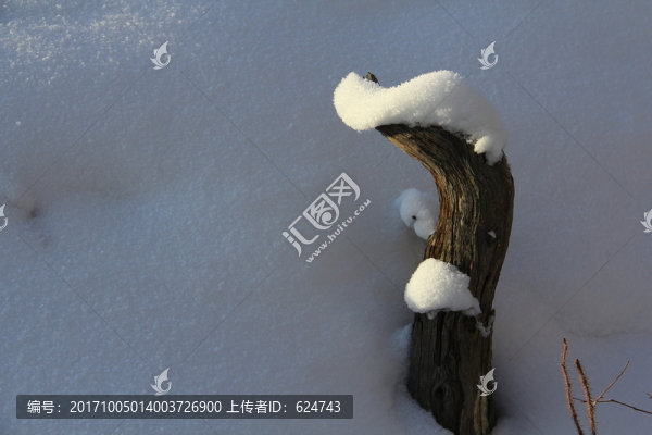 147似蛇