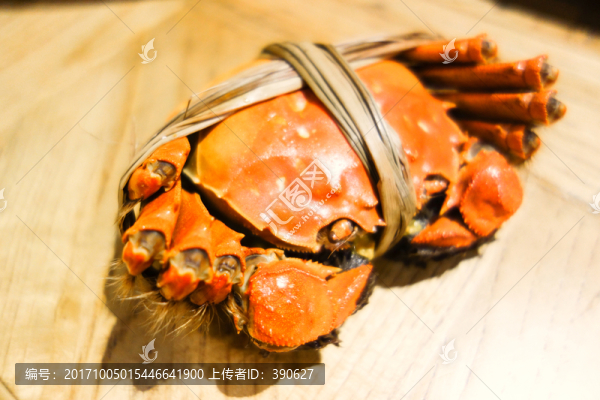 陽(yáng)澄湖大閘蟹