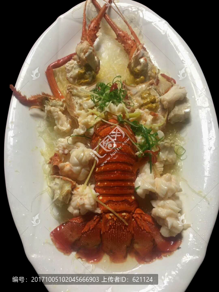 美味龍蝦