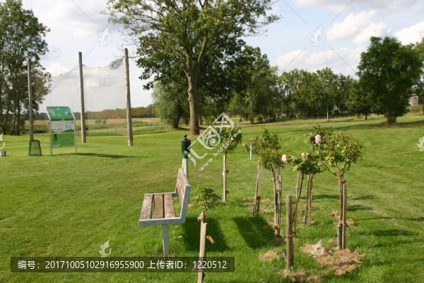golfpark,strelasund，種植玫瑰
