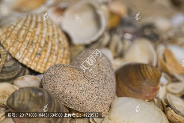 海灘上的心
