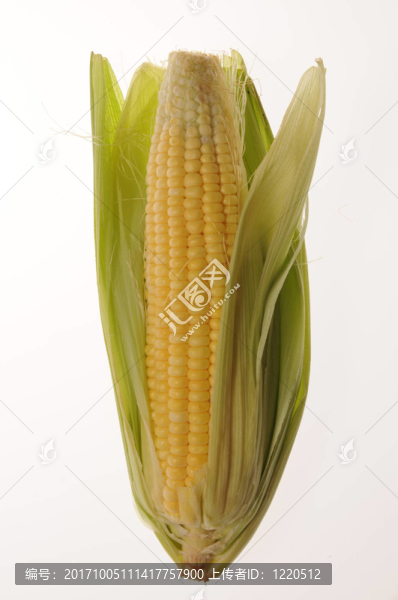 食品