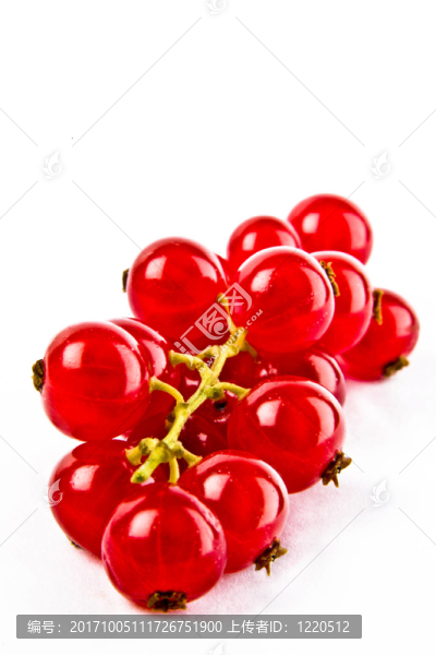 漿果