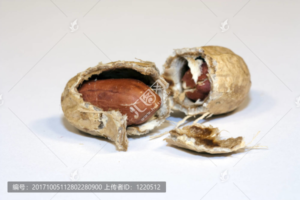 打開花生