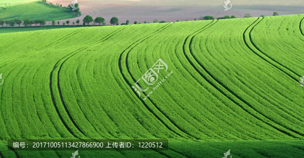 春天山上