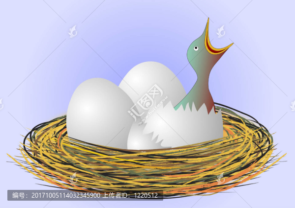 鳥