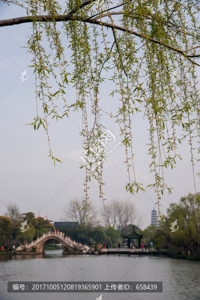 A003670,桃紅柳綠