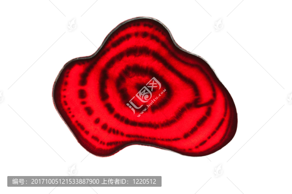 甜菜根