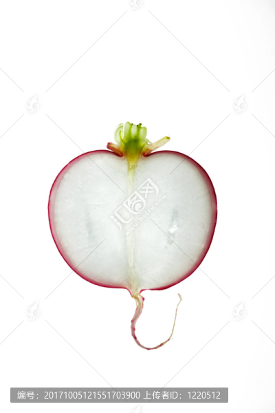 蔬菜