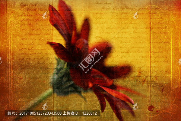 情書(shū)