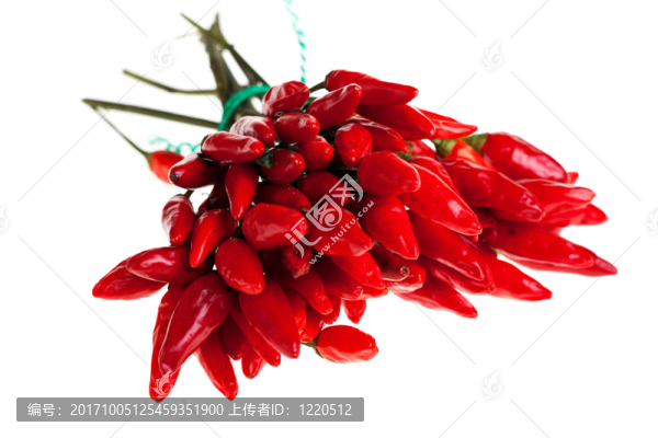 白色背景下的紅辣椒花束