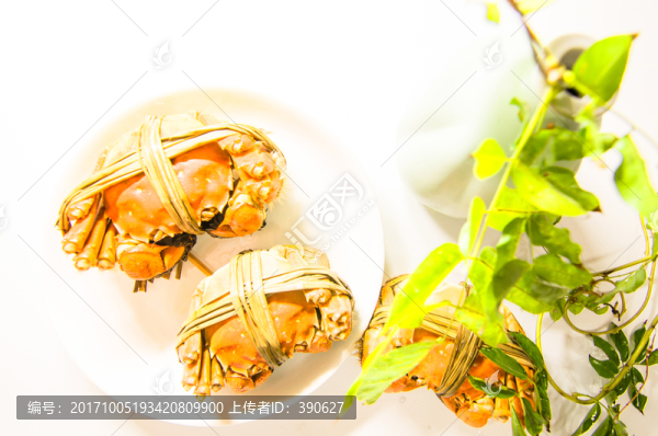 大閘蟹