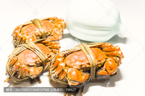 陽澄湖大閘蟹