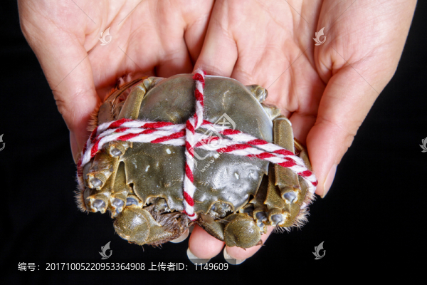 手拿著大閘蟹