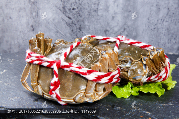 大閘蟹