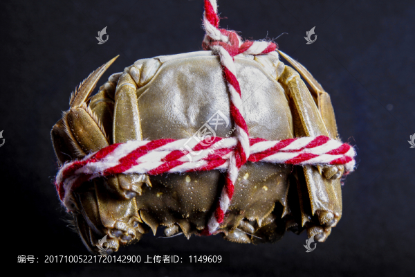 大閘蟹