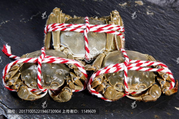 大閘蟹