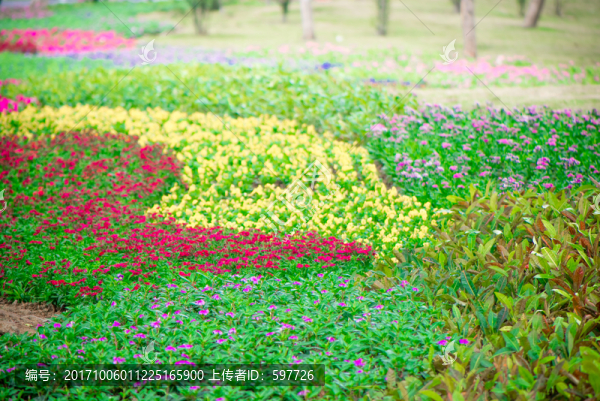 花園背景