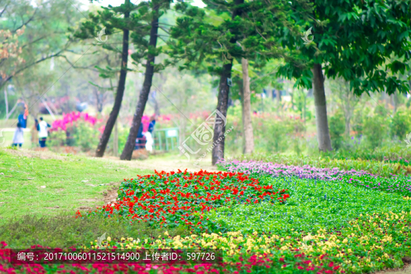 花園背景