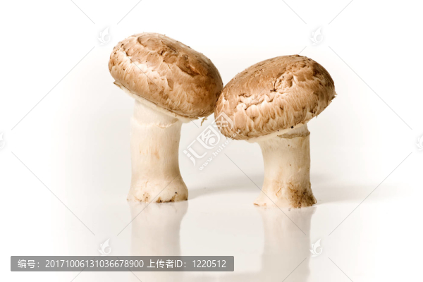 食品