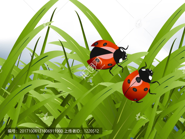 bug