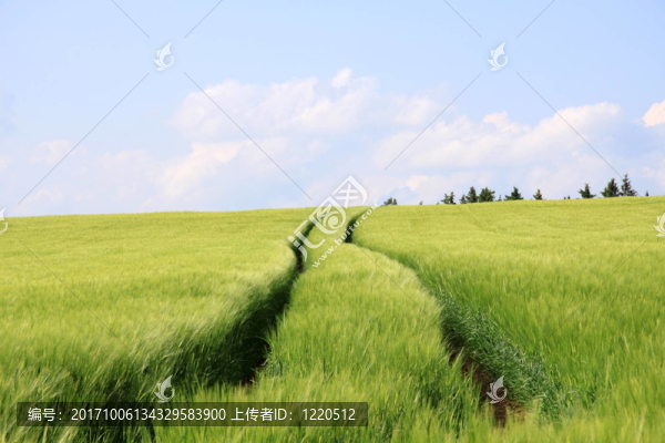 農(nóng)業(yè)