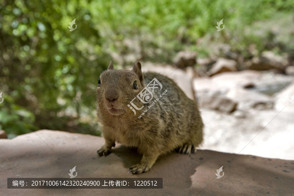 公園