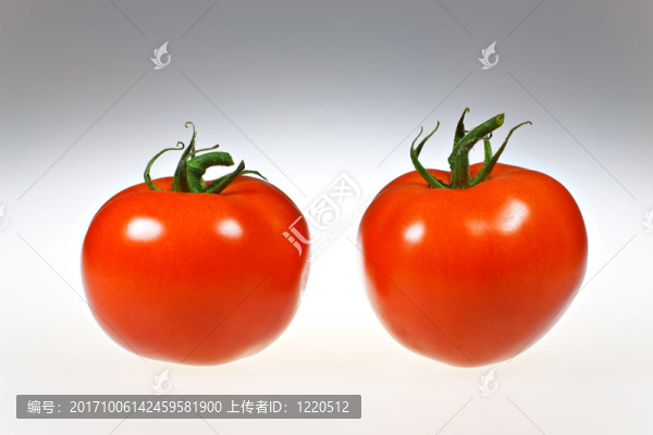 西紅柿