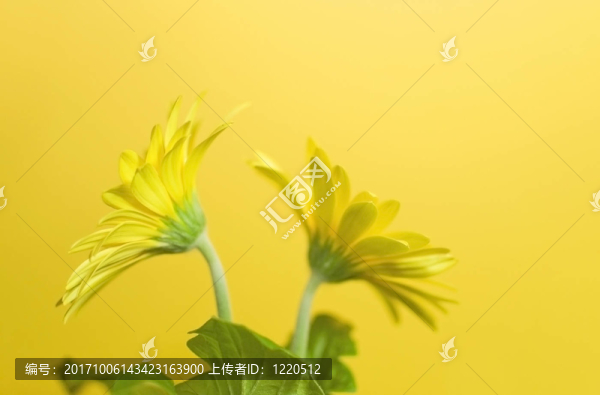 從側面看