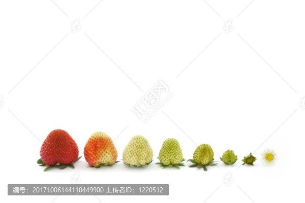 孤立的