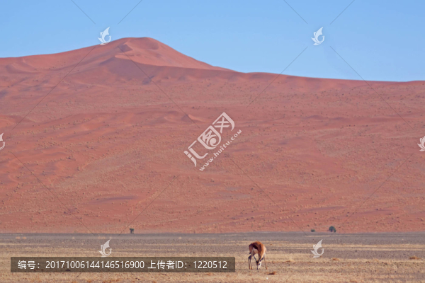 納米比亞的風(fēng)景