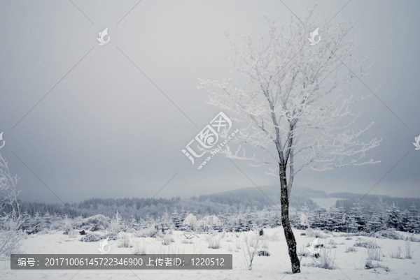 冬季景觀