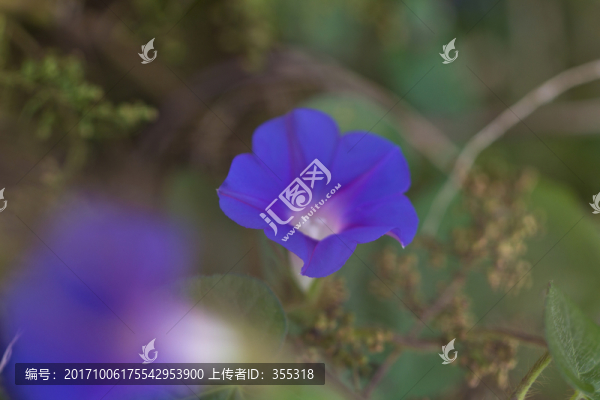 牽?；? title=