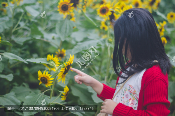 女孩和向日葵