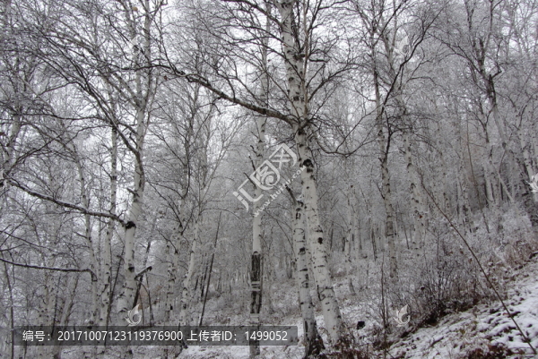 大興安嶺冰雪世界