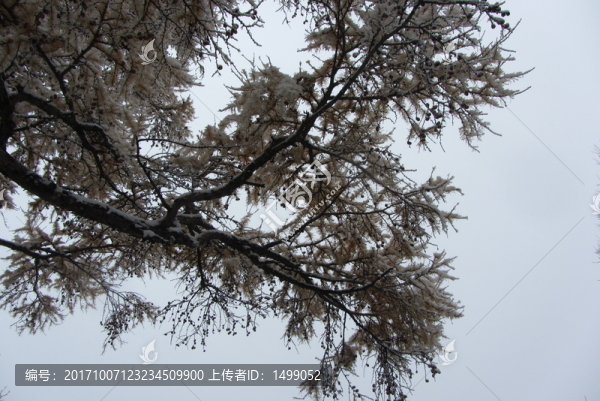 大興安嶺冰雪世界