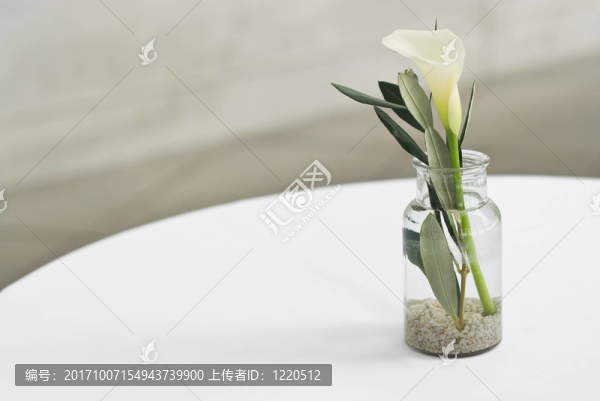 花卉