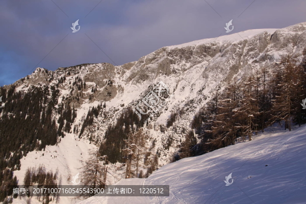 美麗的雪景